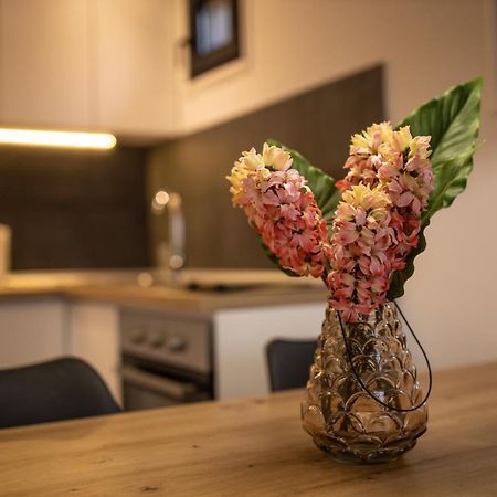 Vista Durmitor - Luxury Cabin Žabljak Екстериор снимка